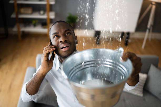 Best Flood restoration services  in Castroville, TX