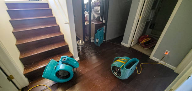 Best Carpet water damage restoration  in Castroville, TX