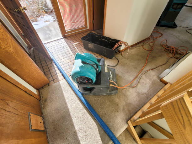 Best Ceiling water damage repair  in Castroville, TX