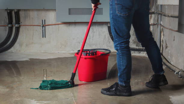 Best Ceiling water damage repair  in Castroville, TX