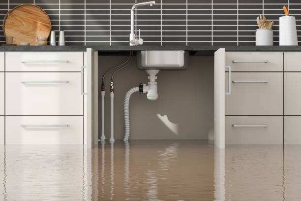 Castroville, TX Water damage restoration Pros