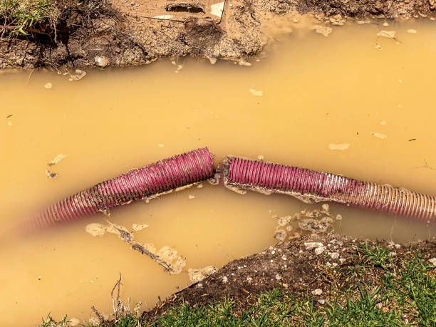 Best Residential water damage restoration  in Castroville, TX